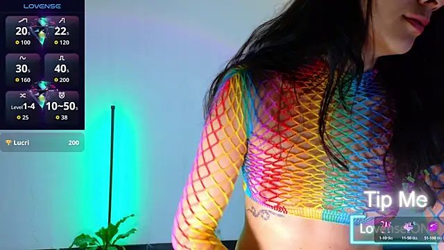 Sarasavage webcam