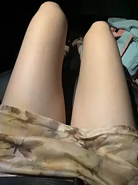 littleqiu webcam