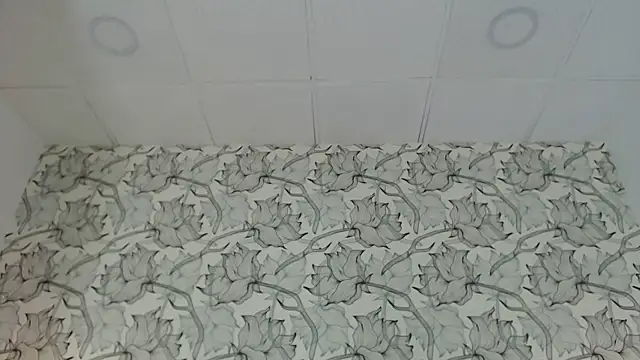 Venusandrea29 webcam