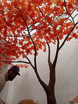 Dante_Knox webcam