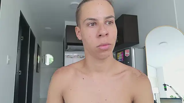 grey___27 webcam