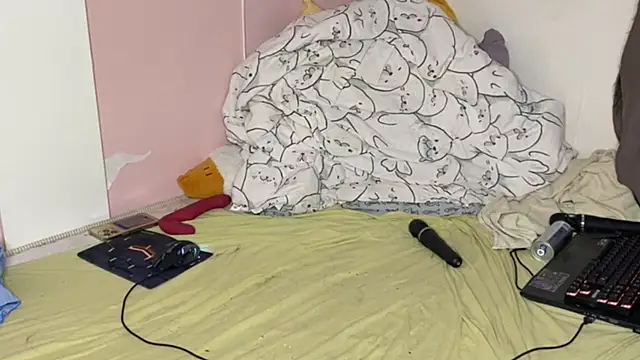 thecoldestmarch webcam
