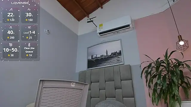 dyvis_22 webcam