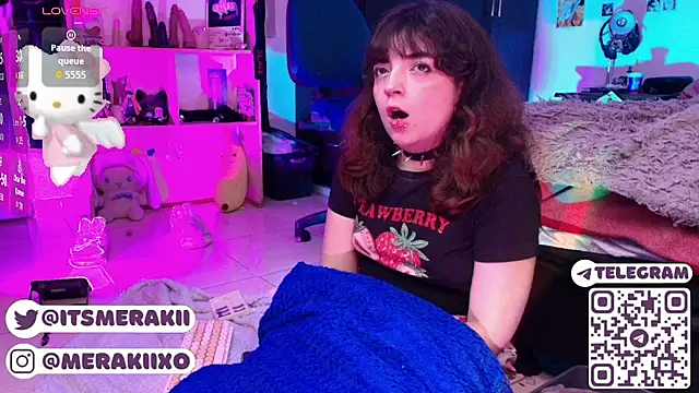 meraki_fraise webcam