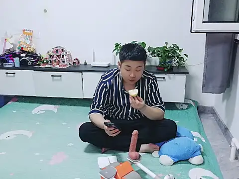Llpl322 webcam