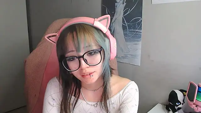 SaxonDibs webcam