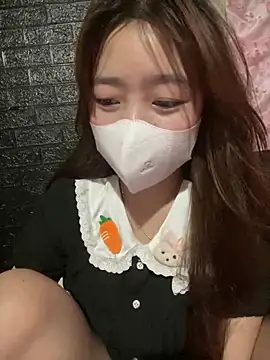 kyoto-to webcam