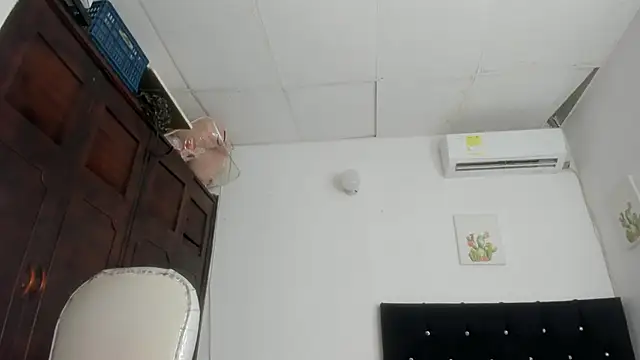 Modèle: barbie_ds