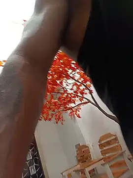 Dante_Knox webcam