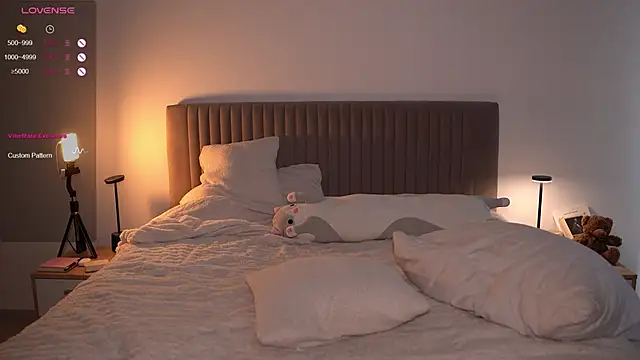 arielbell_ webcam