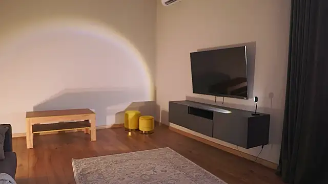 AdaBell webcam