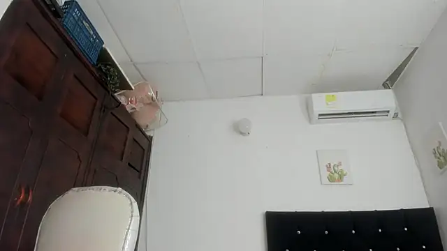 barbie_ds webcam