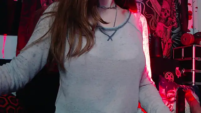 Silentmary webcam