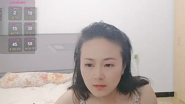 fanfan-FF webcam
