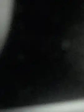 Mancho2289 webcam