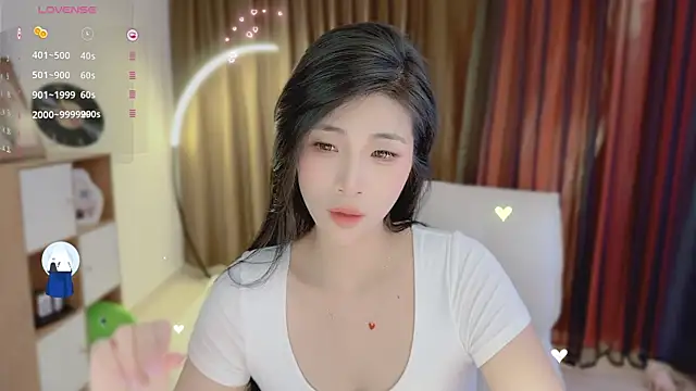 Vaidurya-Yolo webcam