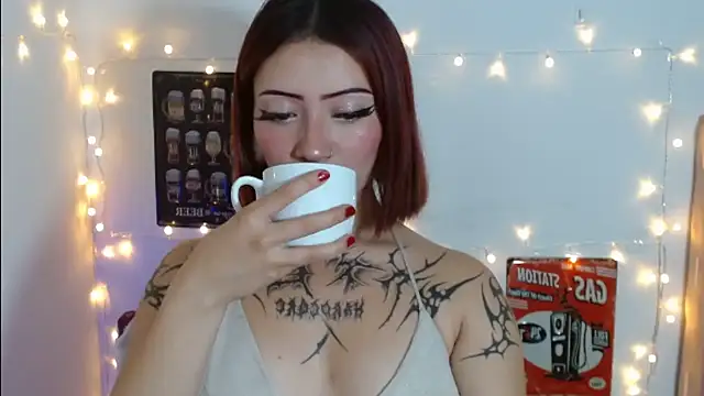 Evanss_lx webcam