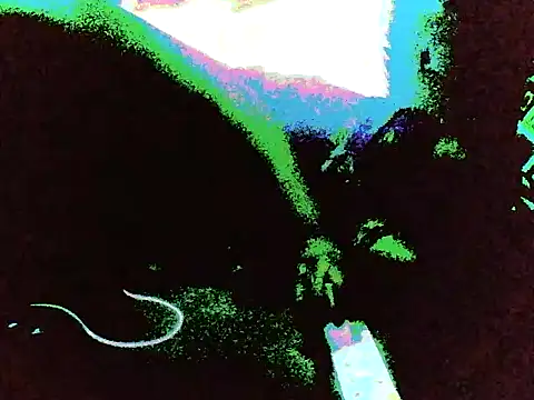 DripDiva webcam