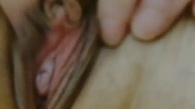 sonyx webcam