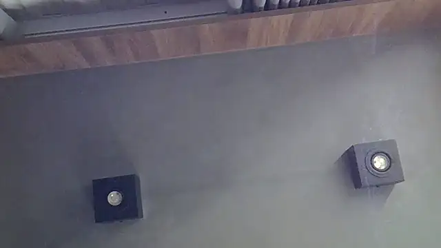SkinnyKitten webcam