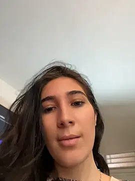 isa_hil