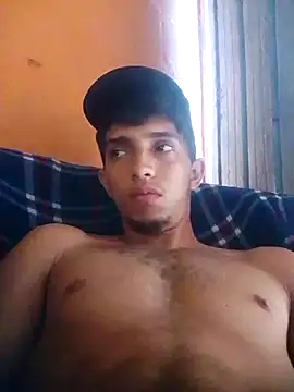 Noscay webcam