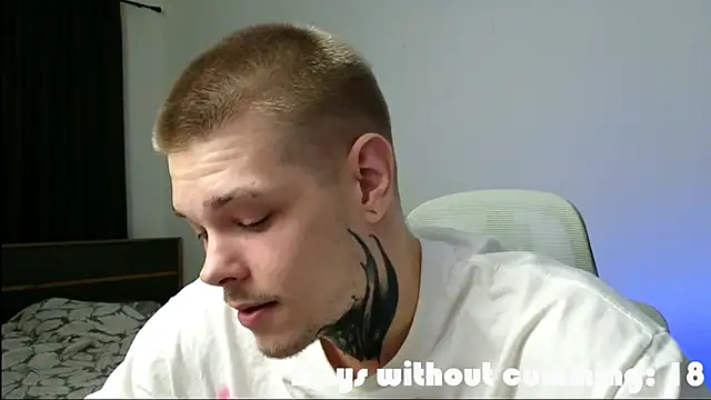 DENIS_HERE webcam