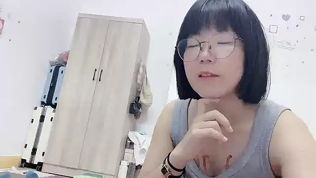 Belle-LL webcam