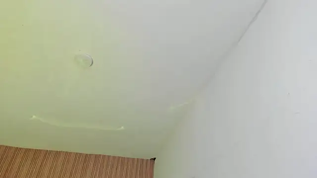 CarolineFyre webcam