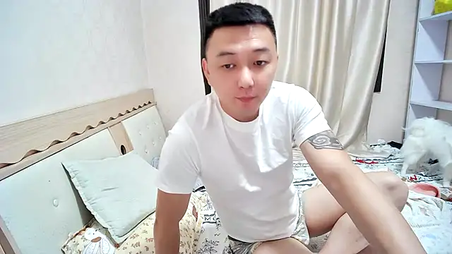 dong-77 webcam