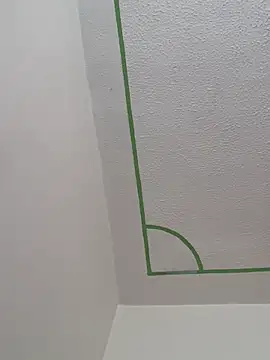 Abby-LS webcam
