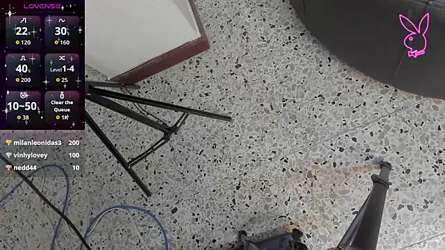 Velvet-Duo webcam