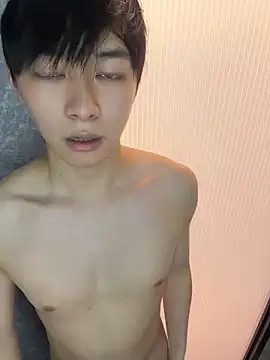 Vi_1314 webcam