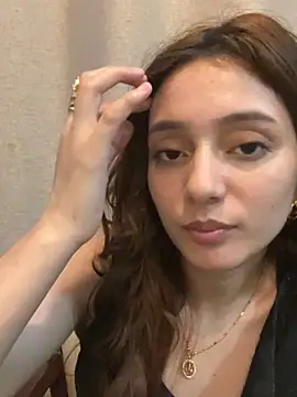 Lilywant webcam