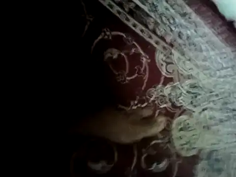 sdfuubjkn webcam
