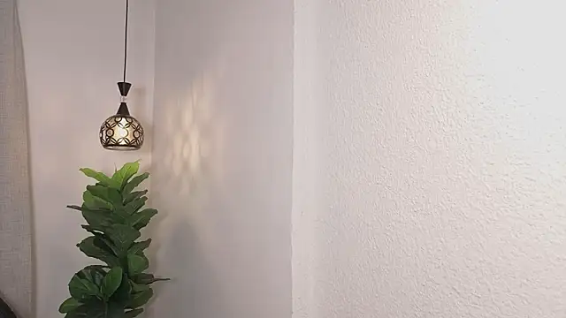 zoevg webcam
