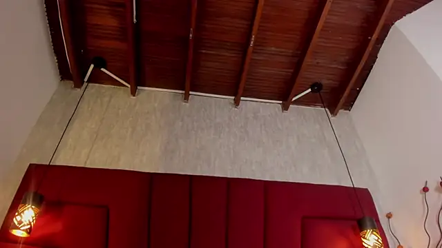 Philip_collins webcam