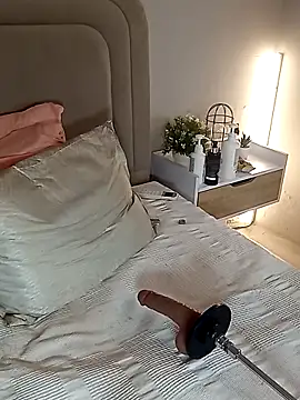 Liastarkk webcam