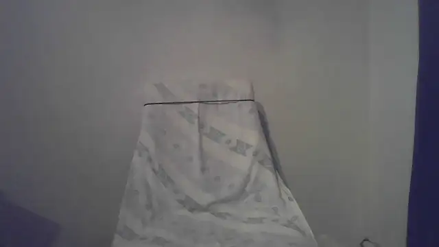 fl3xxx1 webcam