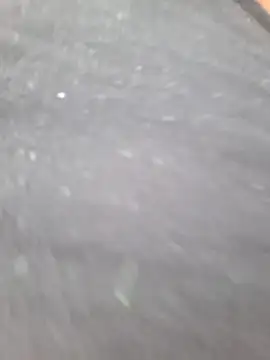 Cataleya_ja webcam