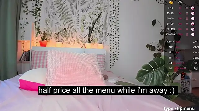 sierra_diamond webcam