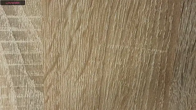 NoFace_Model webcam