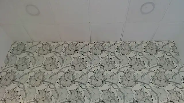 Venusandrea29 webcam