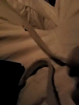 Meow_buggie webcam