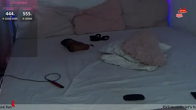 Hennessy_XO webcam