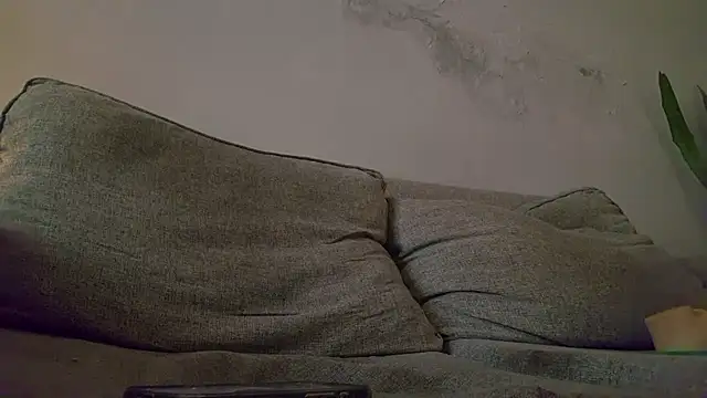 phranof_ webcam
