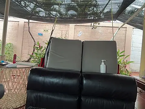 Neil_and_isaac webcam