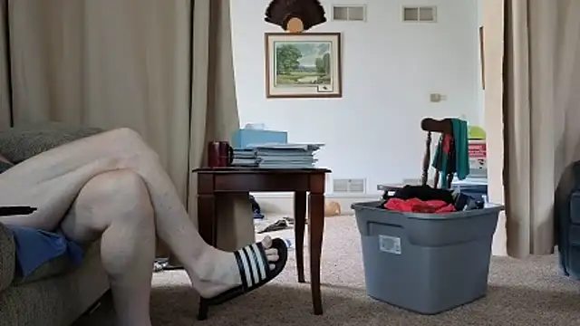 CDforU webcam