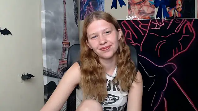 StellaCRL webcam