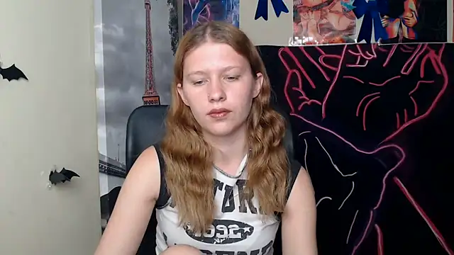 StellaCRL webcam